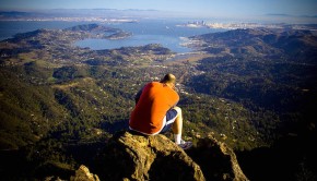 lonely at the top