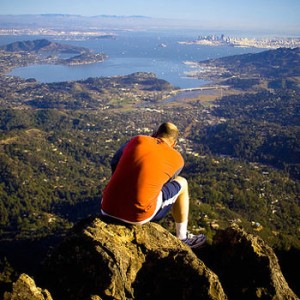 lonely at the top