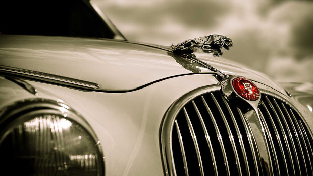 Jaguar